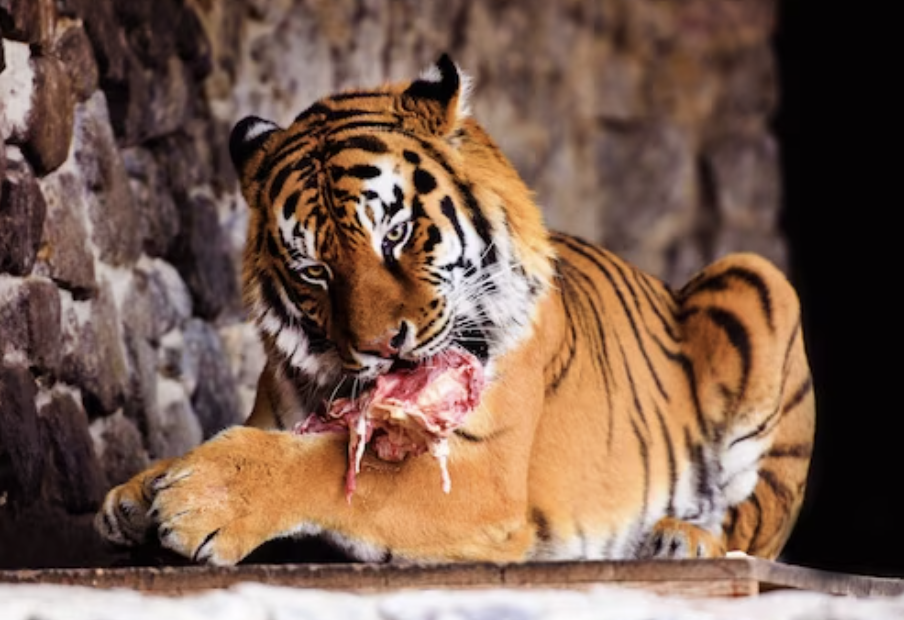 tlsthread local storage 1